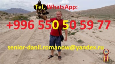 Туризм в Кыргызстане, путешествия, горы, трэки в Киргизии, гид, водитель, туры