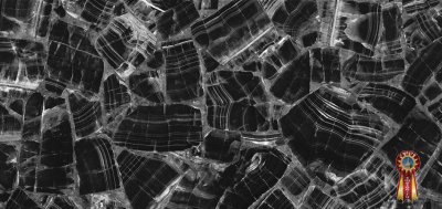 От классического мрамора до прочного гранита: актуальные интерьерные покрытия от «LiveKamen»