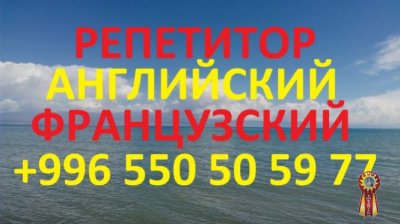Французский и английский языки учитель репетитор преподаватель