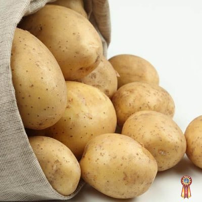 Овощи столового назначения и на переработку от оптового поставщика